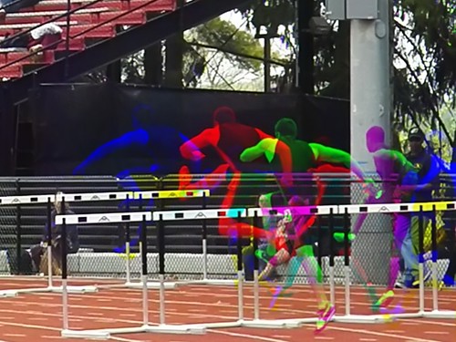 (Harris shutter effect) Grizzly Classic hurdler by Thiophene_Guy