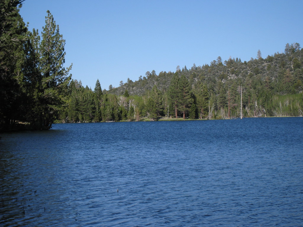 Walker Lake North
