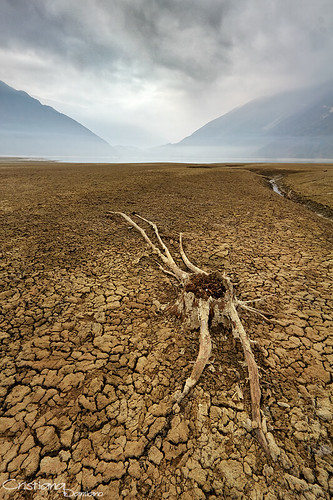 Dry mud by Cristiana Damiano