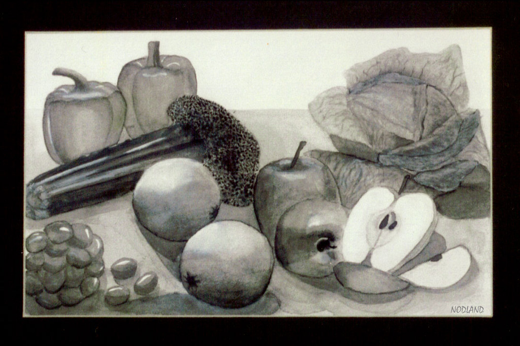 Still Life Ink Ink Wash Still Life