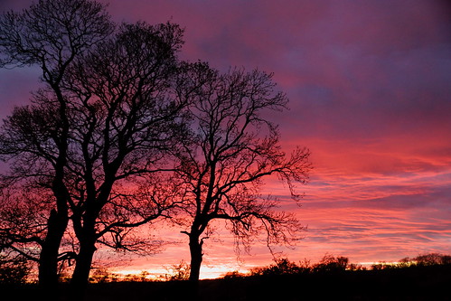 sunset sky evening scotland dusk ayrshire irvinevalley naturethroughthelens “flickraward sonyafdt18250mmf3563 “flickraward5” sonyslta77v ronniebarron rcb4j