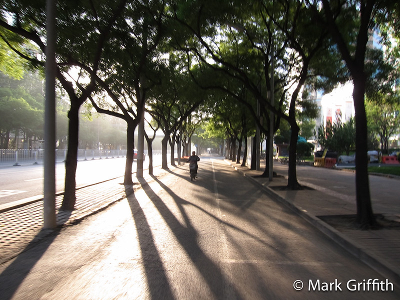 Long Morning Shadows