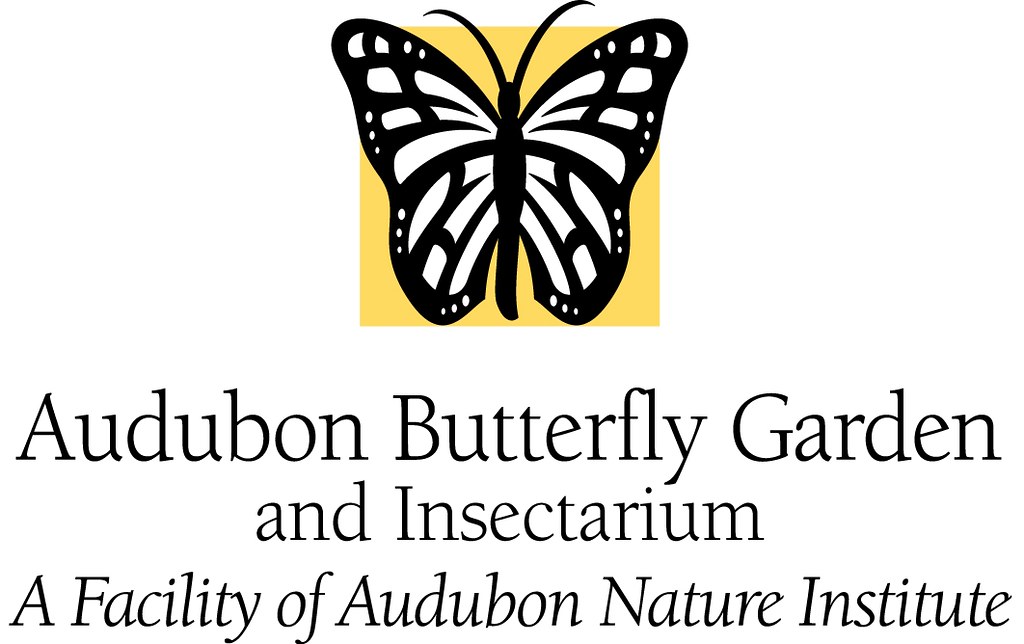 Audubon Butterfly Garden And Insectarium Audubon Butterfly Flickr