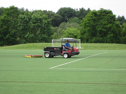 20120619 Artificial Turf Comb | The artificial turf at Linco\u2026 | Flickr