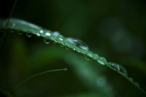 droplet by slowhand7530