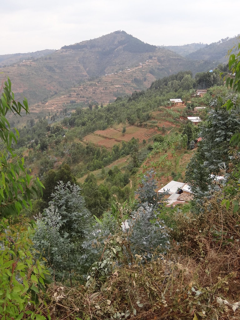 Scenery outside Gikongoro - Southern Rwanda - 02