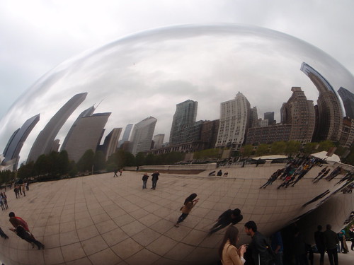 The Bean Effect | by halseike
