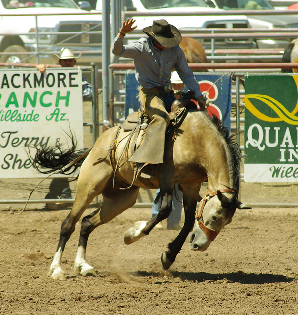 Bronco Riding, 2012 Williams Reunion Rodeo, Arizona