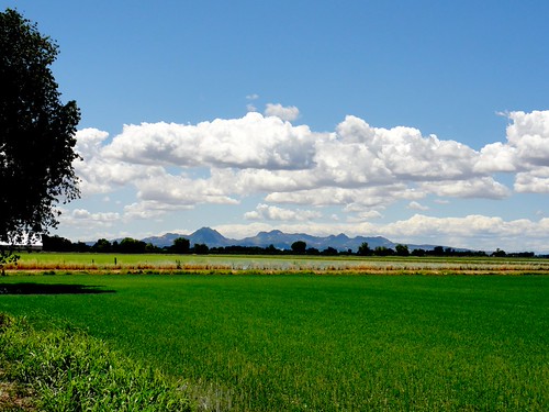 Sutter Buttes, 