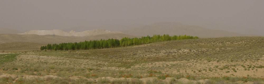 shiraz-tabriz-L1030692