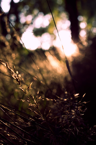 Untitled by appareil, June 26th, 2012
<a href="http://appareilphotographique.ca/" rel="nofollow">Website</a> | <a href="ht
