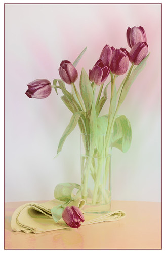 Another version | by Kay Pond