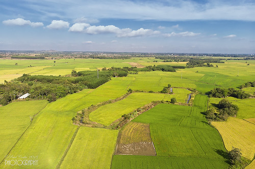 rice fields southern vietnam travel color panorama 2018 conka pavel mavic air dron