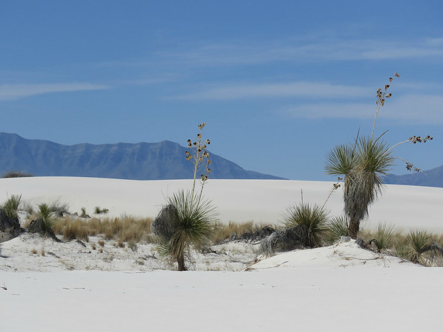 White Sands National Monument #15