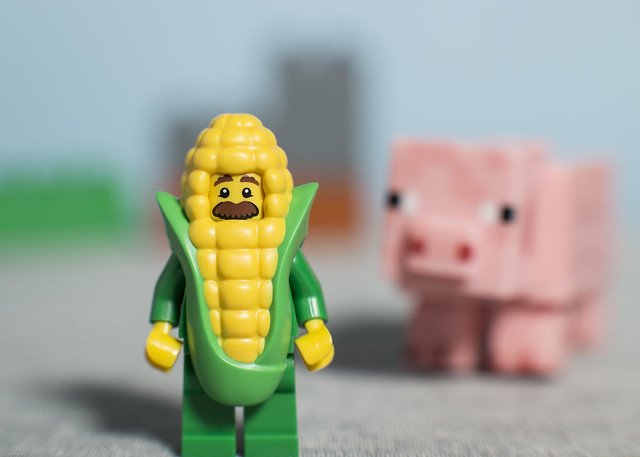 Corn Cob guy does not like pigs