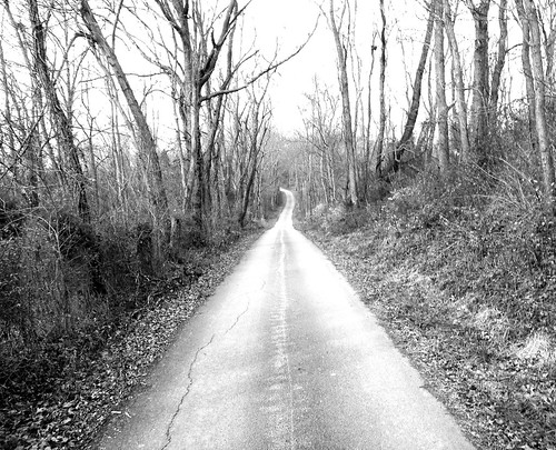 road trees blackandwhite rural conty browncountyoh