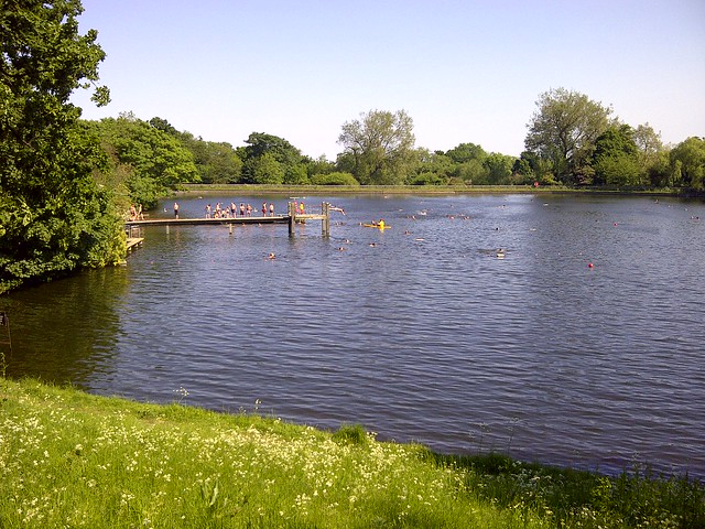 Highgate Men's Pond
