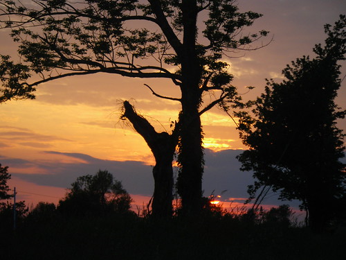 IMGP6576 Sunset on Litchfield CT Explore!! | by shutterbroke