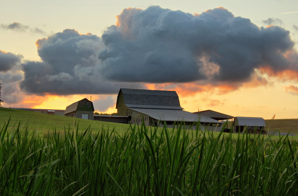 An evening in maryland countryside | Yashendra Chandrakar | Flickr