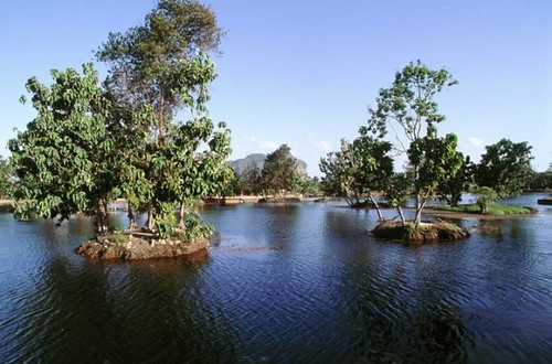 Taman Negara