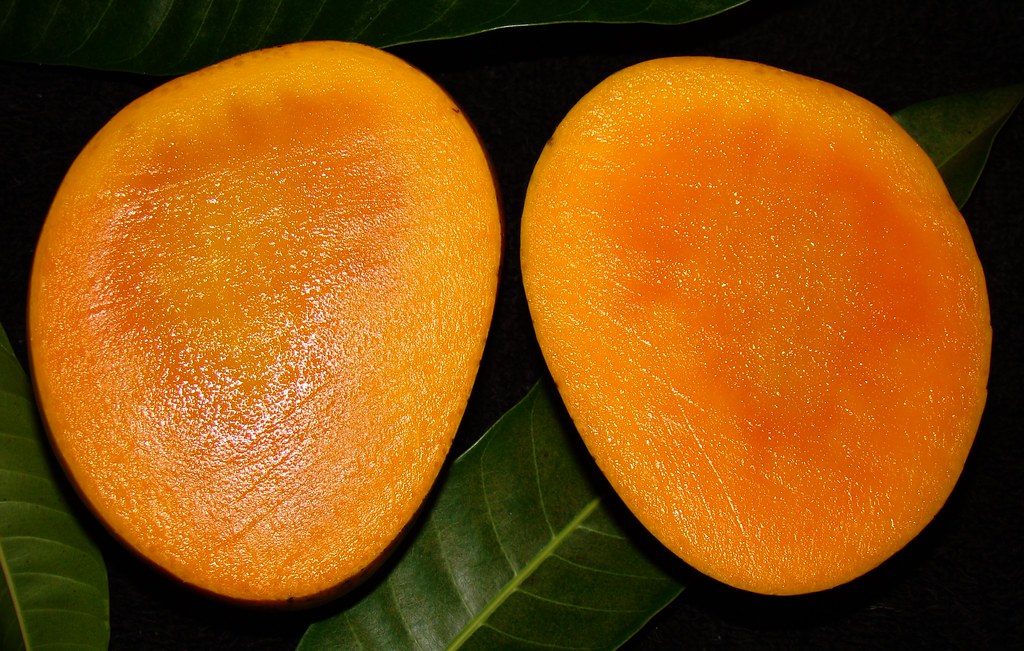 Mango21 Mango