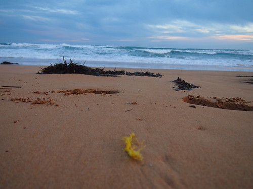 Odd one out | by Mrs F2