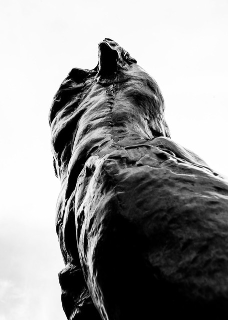 Looking up - Sculptures at the Hirshorn Sculpture Garden in Washington DC