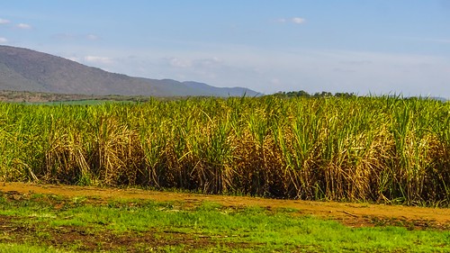 southafrica cac za kwazulunatal drivebyshootings pongola southafrica2015 wakkerstroomtomkuze