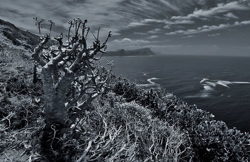 false bay cape point capetown southafrica africa south monochrome mono blackandwhite bw peninsula tablemountainnationalpark water sky clouds mountains view nature wide angle 2014