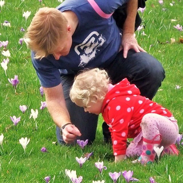 Dad & Baby Daughter in Crocus Field, The Royal Botanic Gardens, KEW, London @ 10 March 2012