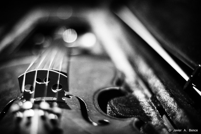 Proyecto 30 Semanas - Semana #6 Música (El violín)