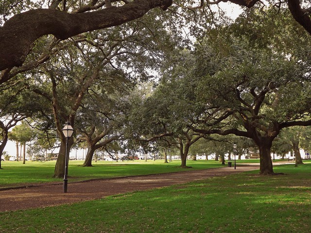 Waterfront Park in Charleston, SC