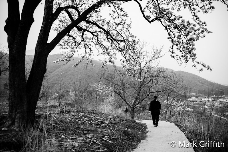 Walking Back