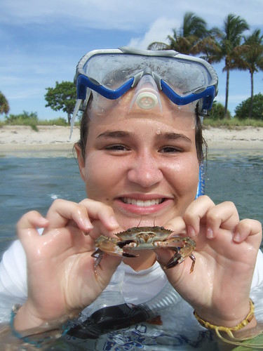 Dylan catches a swimming crab!