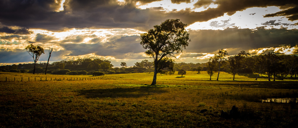 Morpeth countryside NSW | set of 4 | zateom | Flickr