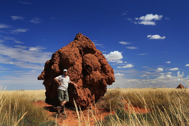 Termite mound revisited.