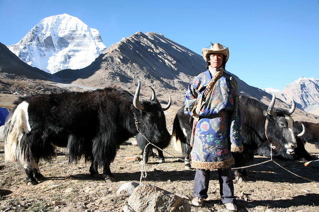 Tibetan Yak Teamster Sacred Mount Kailash Far Western Tibet China