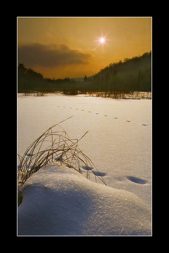Neige "1985" by Christian Labeaune, Paysage Châtillonnaisneige paysage châtillonnais christianlabeaune