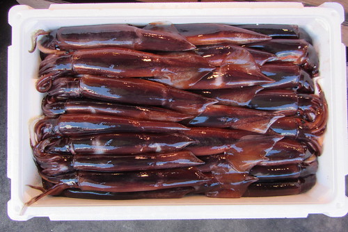 Squid boxed to send home | by Joel Abroad