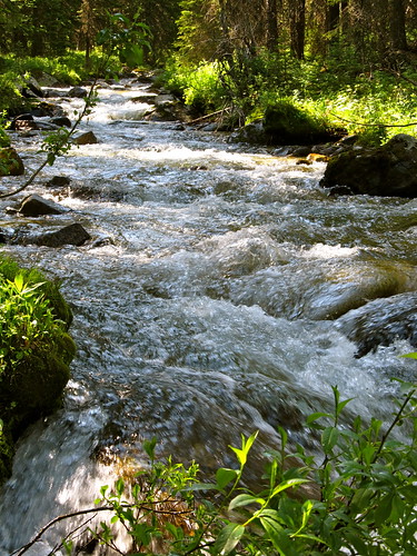 summer nature water scenery montana hiking scenic rivers streams wilderness creeks anacondapintlerwilderness