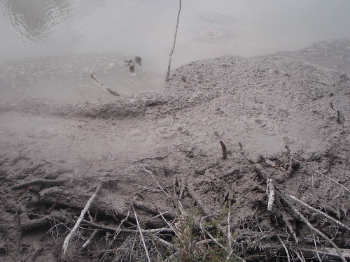 mudpool | by ashroc