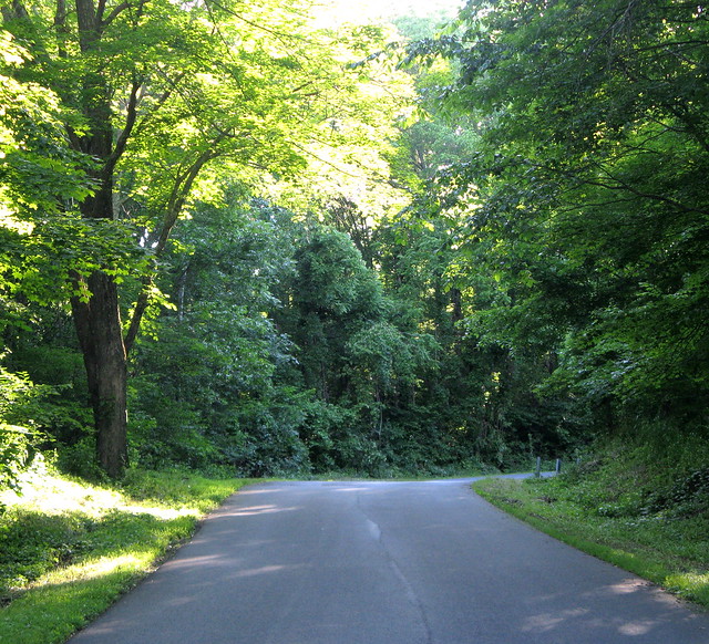 Escape Route Road