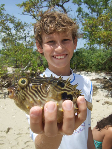 Michael with a striped burrfish