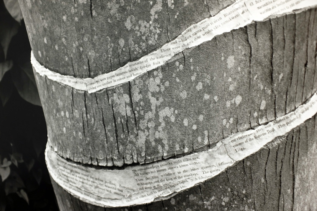 detail photograph