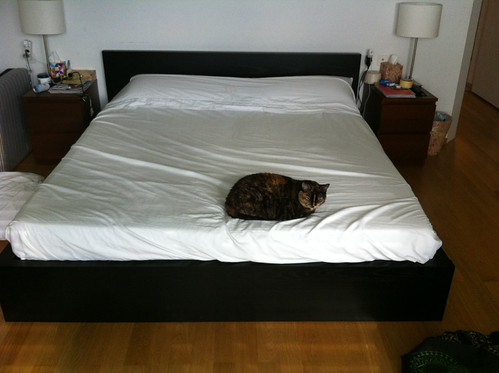 IKEA  Black Bed Frame-180 cm  (Picture 1) | by gtuckner
