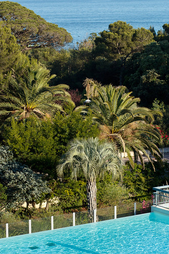 Pooltime | by Hillyne2000