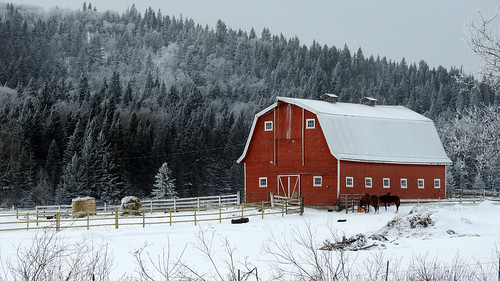 landscape scenery snow southernalberta barn