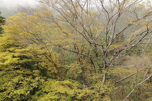 saitama japan japanesenature japaneselandscapes 埼玉県 埼玉県の景色 埼玉県の自然 埼玉の風景