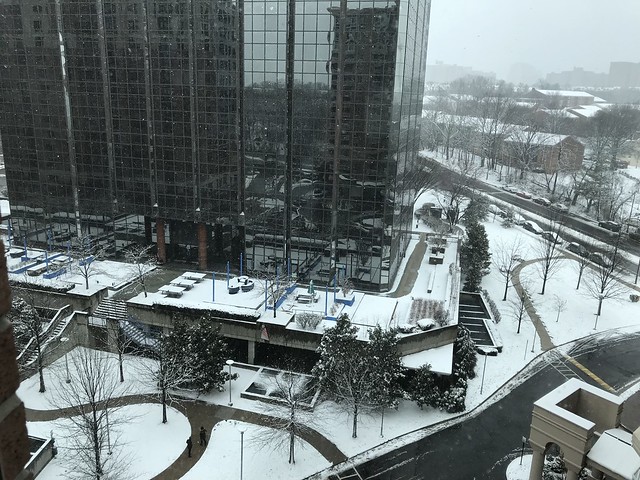 Officially the 2nd Day of Spring in the DMV and it’s snowing! 21 March 2018