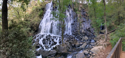 cascade waterfall rocks woods trees water river panorama landscape nature state mexico leaves branches